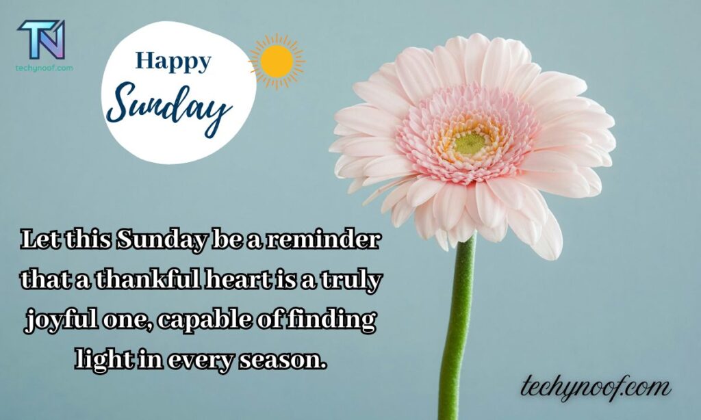 Inspirational Sunday Morning Blessings Gif