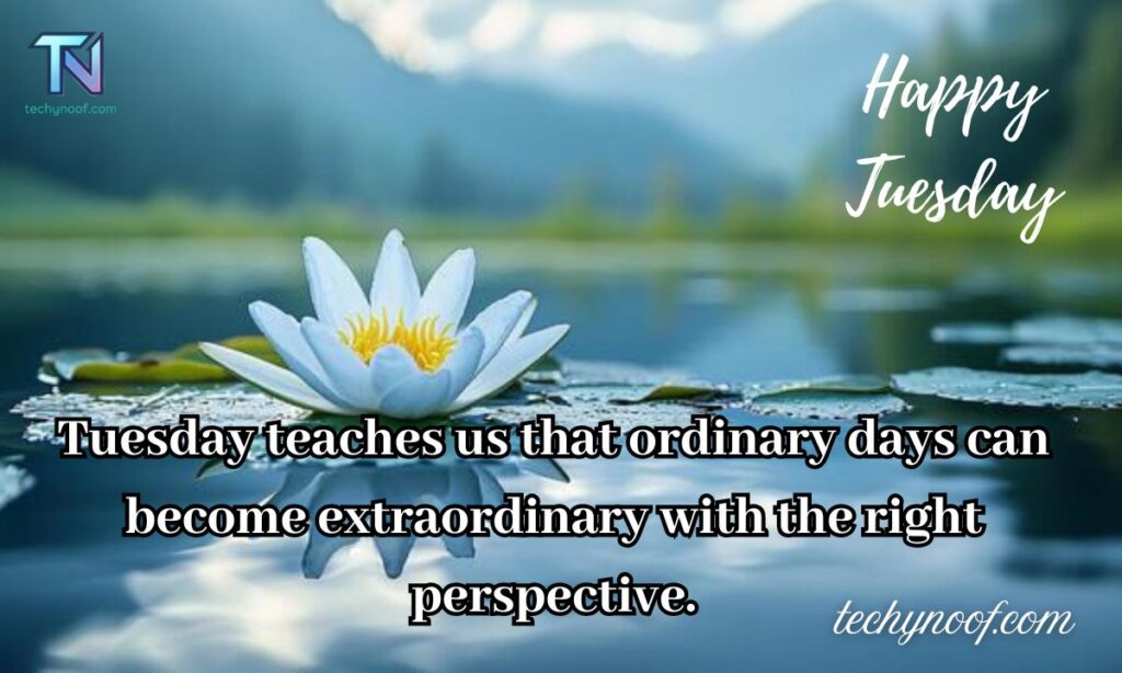 Tuesday Blessing Quotes
