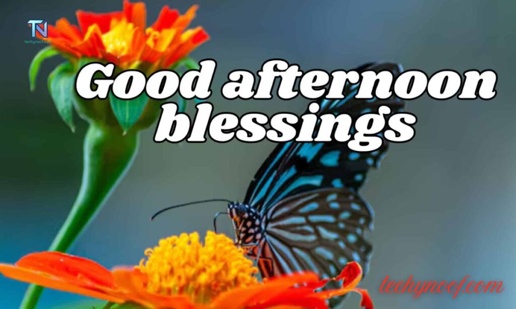 Motivational Good Afternoon Blessings
