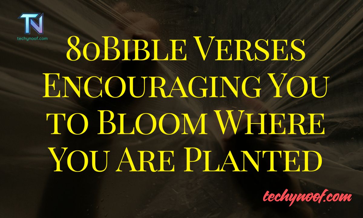 80Bible Verses Encouraging You to Bloom Where You Are Planted