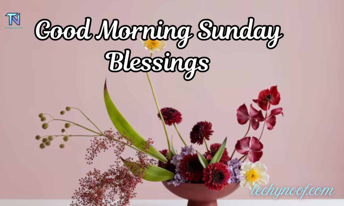 150+ Beautiful Good Morning Sunday Blessings and Wishes with Images