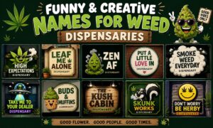 215+ Funny & Creative Names for Weed Dispensaries